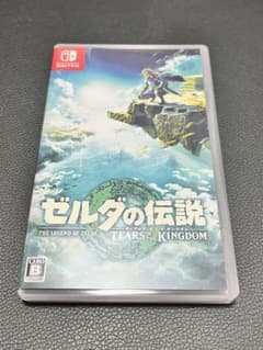 ゼルダの伝説 TEARS OF THE KINGDOM