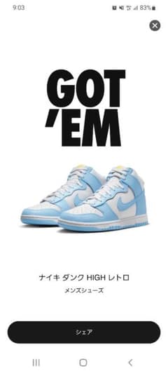 NIKE DUNK HI RETRO【BLUE CHILL】のサムネイル