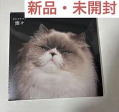 燦々 カネコアヤノ cd 通常盤 新品 未開封 - メルカリ