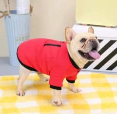 フレブル　防寒着のサムネイル