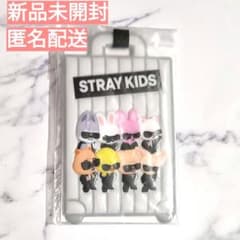 ラゲッジタグ☆StrayKids スキズ アプグレ特典 グッズ run it - メルカリ