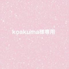 koakuma様専用のサムネイル