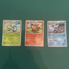 ポケモンカードbw 初めてセットジャローダ エンブオー ダイケンキ 3枚セット