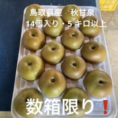 G . 鳥取県産　秋甘泉　農家直送 　　　 　　　5 キロ以上のサムネイル