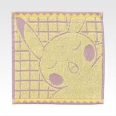 2025 Pokémon Collection 복권
