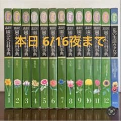 講談社 園芸大百科事典 fleur 全12巻 ＋特別巻（花の生活力タログ