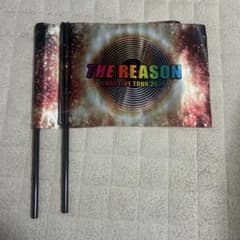 EXILE LIVE TOUR 2025 フラッグ2本セット - メルカリ