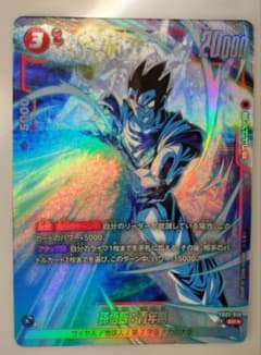 ドラゴンボール　カードゲーム　烈火の闘気　SR パラレル　孫悟飯　　セル等のサムネイル