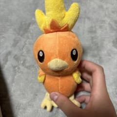 最終値下げ！！ポケモン アチャモ ぬいぐるみ 約15cmのサムネイル