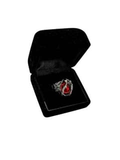 HYDE グッズ THE APPLE リング 17~22号 シルバー 美品 HYDE グッズ THE APPLE リング 17~22号 シルバー 美品 - メルカリ