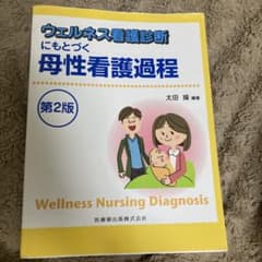 ウェルネス看護診断にもとづく母性看護過程のサムネイル