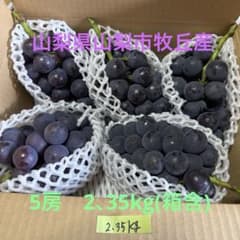 ば*い様 新鮮 巨峰 5房入りのサムネイル