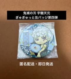 鬼滅の刃 宇髄天元 ぎゅぎゅっと 缶バッジ 第四弾 - メルカリ