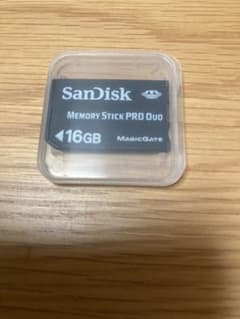 SanDisk Memory Stick PRO Duo16 GBです。のサムネイル