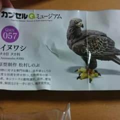 ガシャ イヌワシのサムネイル