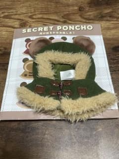 ディズニーストア SECRET PONCHO シークレットポンチョ 緑色のサムネイル