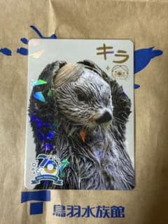 鳥羽水族館 コレクションカード ラッコ キラのサムネイル