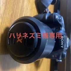 SONY α77 レンズ充電器2台（社外品）レンズ2本　バッテリー2個付きのサムネイル