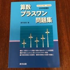 算数/プラスワン問題集 : 中学受験のサムネイル