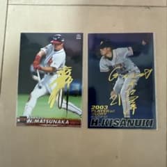 m75806990793_1.jpg?1725007791