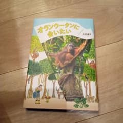 オランウータンに会いたいのサムネイル