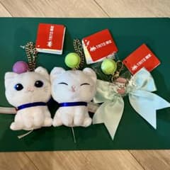 DALLOYAU ダロワイヨ ぬいぐるみマスコット マカロン付きリボンチャーム