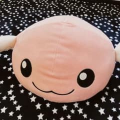 m75825614684_1.jpg?1643351348