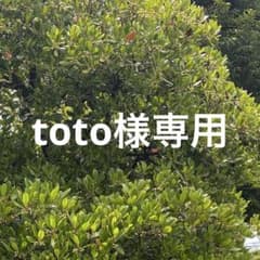 【toto様専用 】のサムネイル