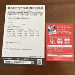 バレーボール女子日本代表2026 応募券のサムネイル