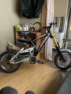 GT Lobo 1000 DH 16-inch cute mini velo
