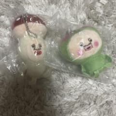 こびとづかん ぬいぐるみ 2種セット
