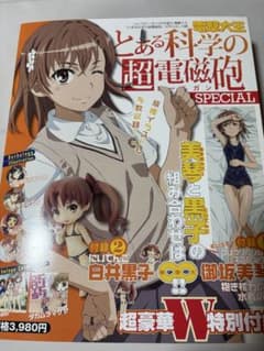電撃大王 とある科学の超電磁砲 SPECIAL 御坂美琴抱き枕カバー付【新品】のサムネイル