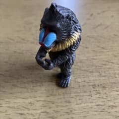 座禅 マンドリルのサムネイル