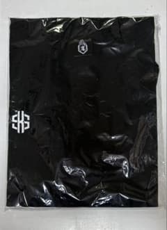 真天地開闢集団ジグザグ参拝装束 凛 定番2024 Tシャツ 新品未使用品