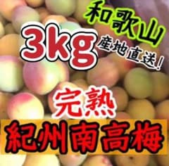 和歌山 紀州南高梅 完熟3kgのサムネイル