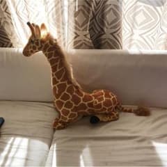 キリンぬいぐるみのサムネイル