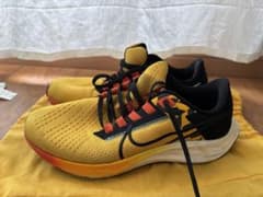 NIKE Air zoom Pegsus38 25.5cmのサムネイル