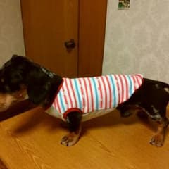 犬服ハンドメイドのサムネイル