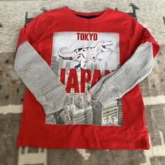 ロンT 110のサムネイル