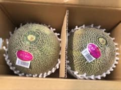 送料込み！飯岡産 タカミメロン 大玉2玉 贈答用 - メルカリ