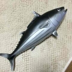 カツオ  bibi様専用のサムネイル