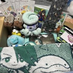 ポケモン ピカピカボックス2026 ぬいぐるみ など 詰め合わせ （大