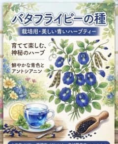バタフライピー　100粒のサムネイル