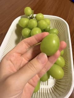 長野県産 シャインマスカット 粒 1kgのサムネイル