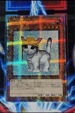 遊戯王OCG レスキューキャット 25th