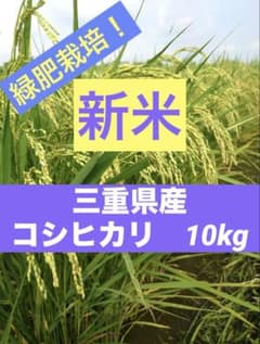【農家直送】新米 お米 令和8年 緑肥栽培！三重県産 コシヒカリ 白米１０kgのサムネイル