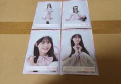 櫻坂46 生写真 2023年 クリスマスサンタ衣装 向井純葉 コンプのサムネイル