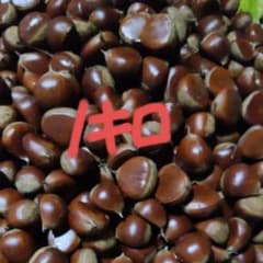 旬の味覚 栗 生栗 大容量のサムネイル