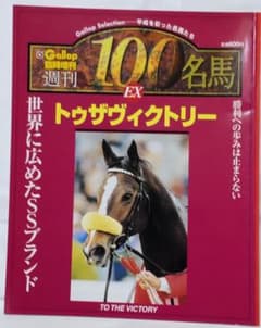 Gallop 臨時増刊 週刊100名馬 EX.2 トゥザヴィクトリー 他 - メルカリ