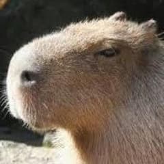 みー@プロフ必読 様 専用のサムネイル